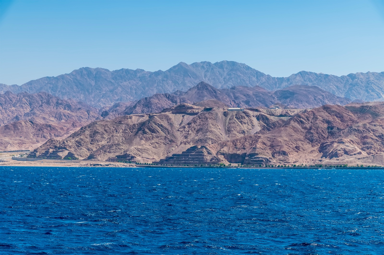 شارع العقبة مع النخيل